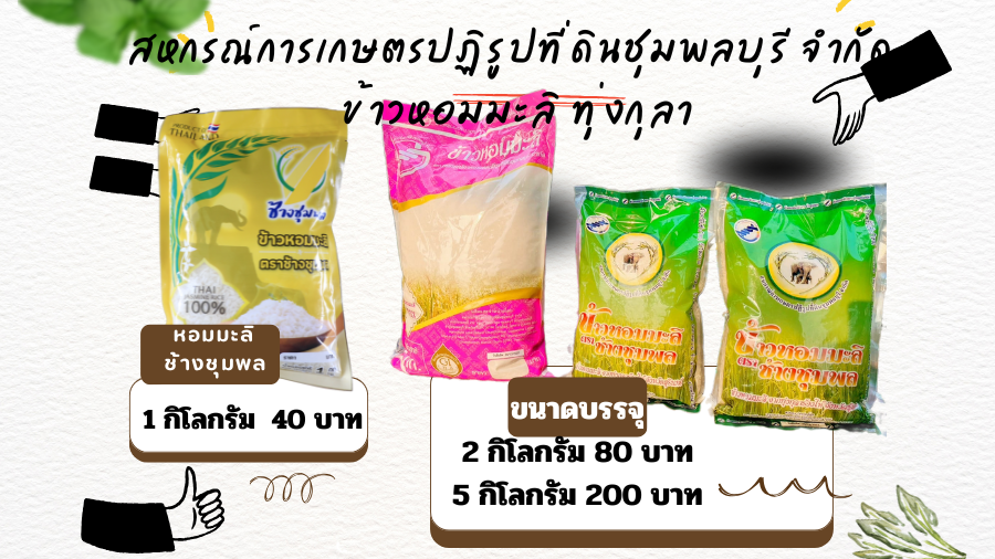 สินค้าข้าวสาร ของสหกรณ์การเกษตรปฏิรูปที่ดินชุมพลบุรี จำกัด จังหวัดสุรินทร์